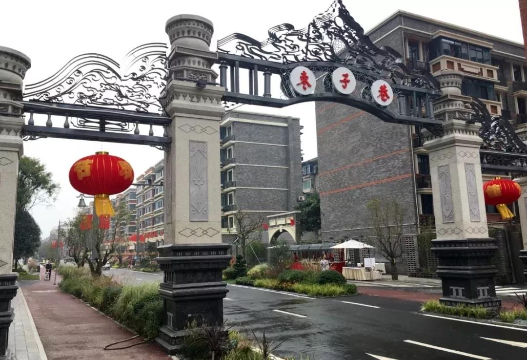 成都市副市长刘玉泉视察枣子巷中医药文化特色街区